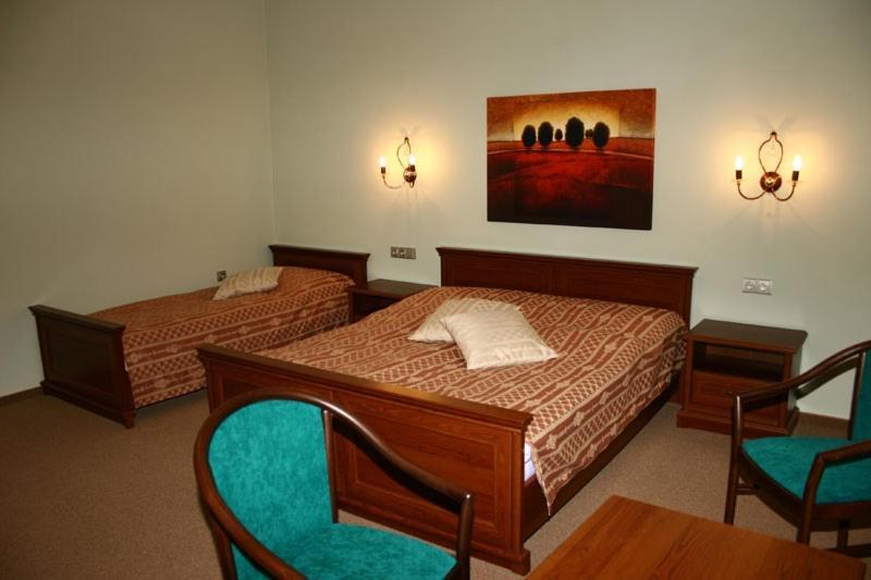 Hotel Zlaty Lev Louny Habitación foto